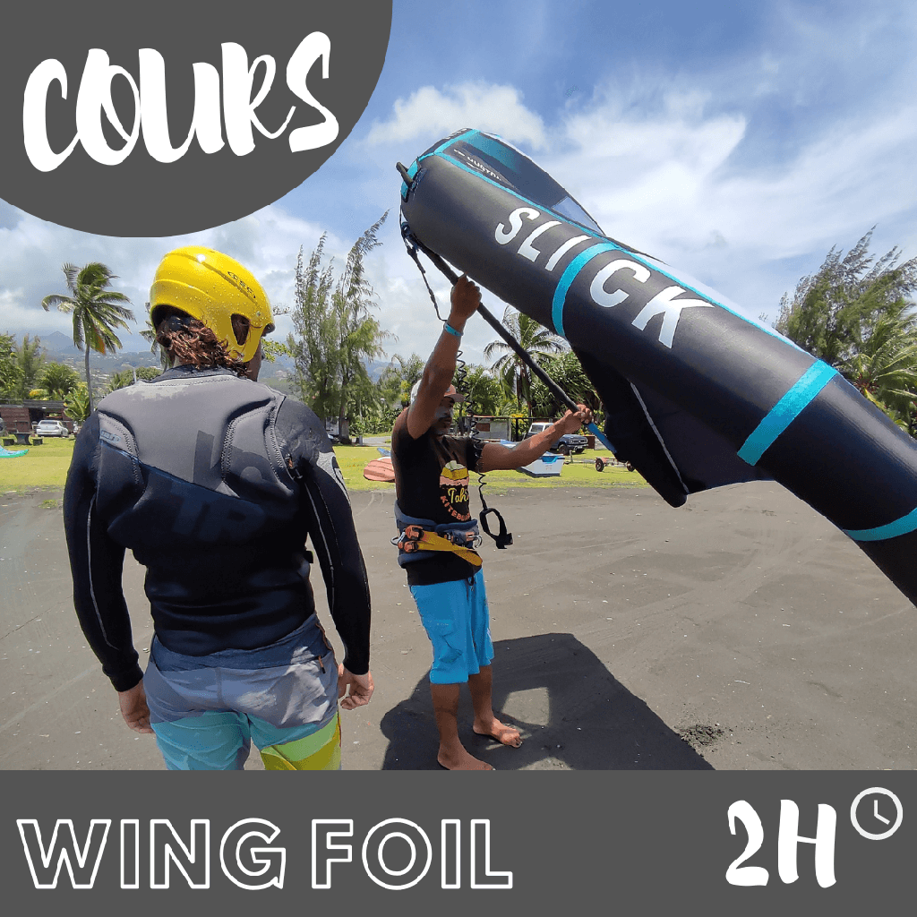 Cours d'initiation wing foil 2H